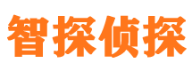 塔城市私人侦探